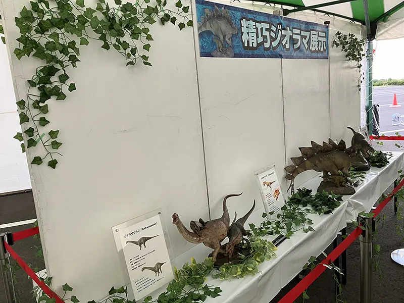 希少価値の高いプレミアム恐竜フィギュアを展示中！緻密に再現された圧巻のクオリティを楽しめます。