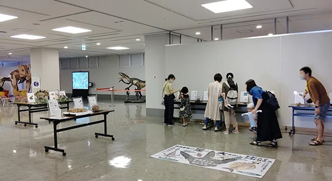 恐竜や化石に関する展示物をバランスよく配置。お客様にスムーズに鑑賞いただける展示配置です。