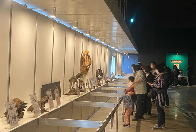 連日多くの方に恐竜展示をお楽しみいただきました。