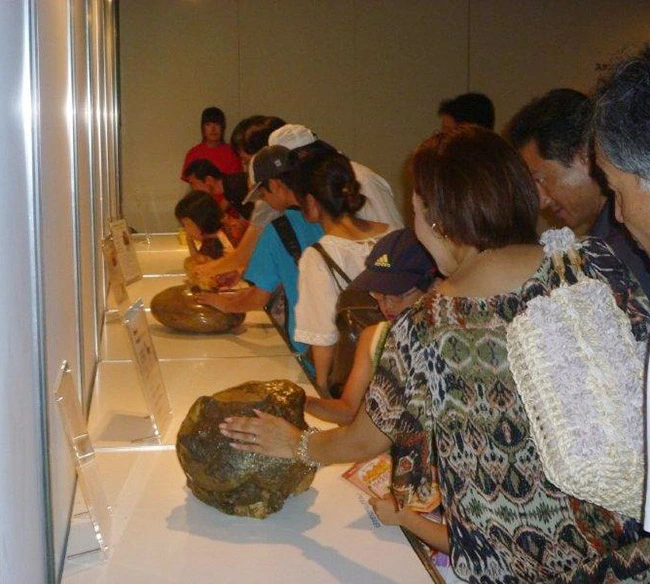 本物アパトサウルスの骨化石にタッチ！