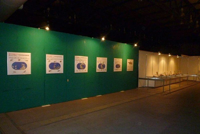 恐竜進化パネル展示例。