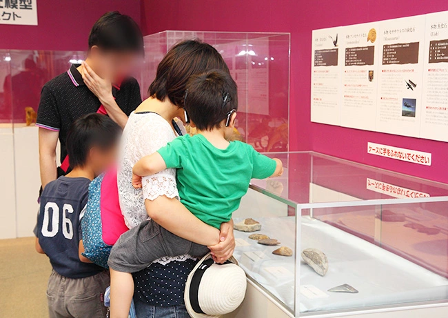 本物化石展示に見入る親子本物化石展示に見入る親子