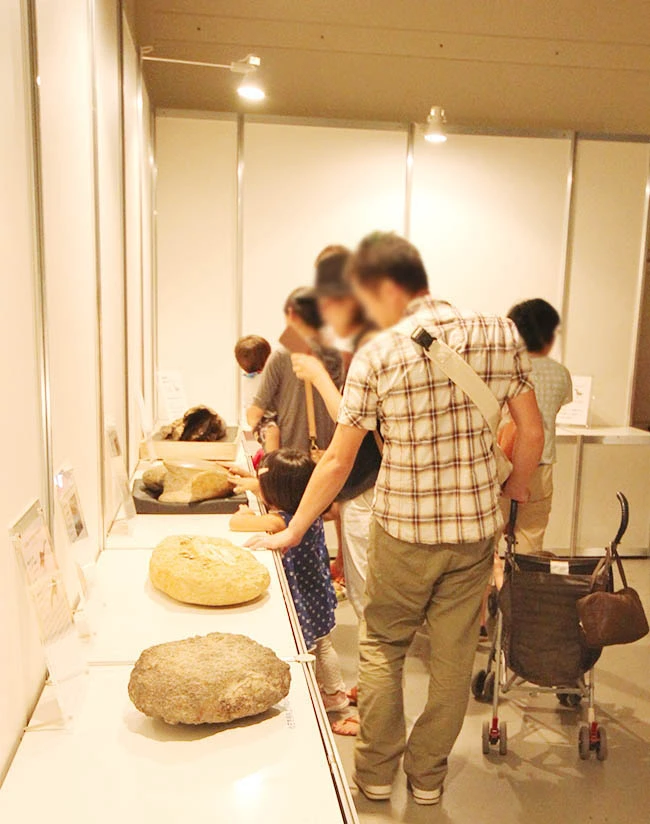 本物の化石に触れられる希少な体験コーナーを設置。