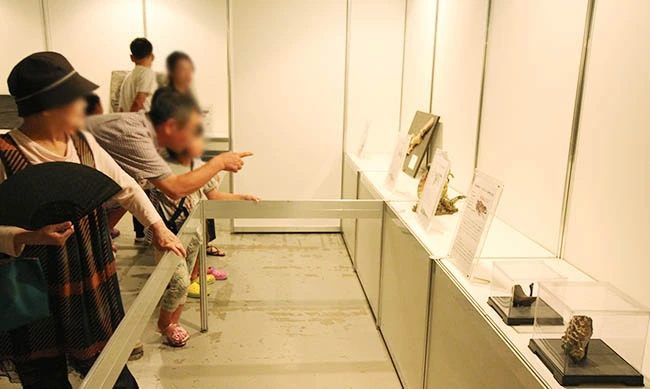 解説パネルに見入る親子。ご家族で恐竜展をお楽しみいただきました。