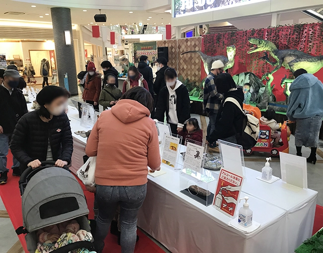 本物化石が展示台にズラっと並びます！