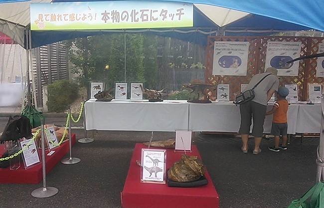 屋外での恐竜イベント実施例