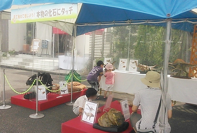 解説パネルで恐竜のことがもっとよく分かります