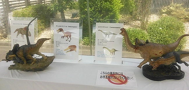 精巧恐竜ジオラマ展示例