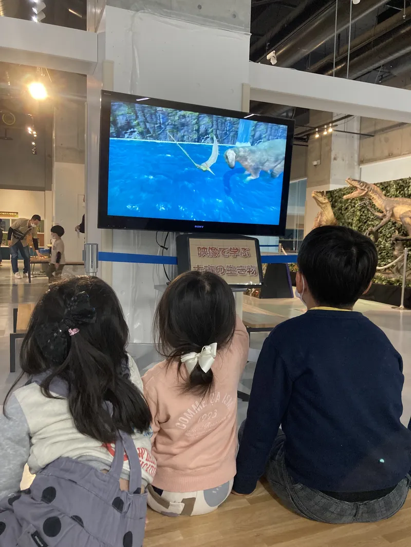 映像で学べる古代の生き物、恐竜たち。海、陸、空とさまざまな生物を映像で学び、楽しむことができます。