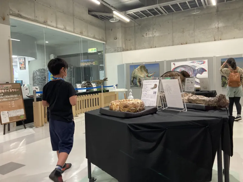 コンテンツはいずれも初めての方でも設営・撤収がしやすくできています。会場のサイズに合わせて調節も可能です。