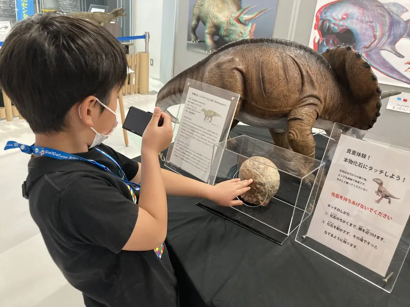 本物の恐竜の卵の化石にタッチ！