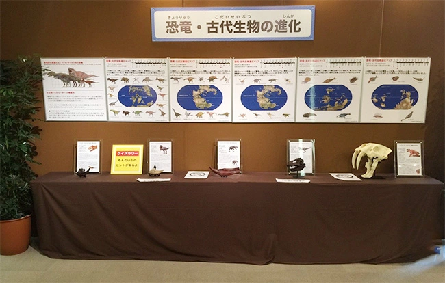 レプリカと恐竜進化パネルを組み合わせた展示例