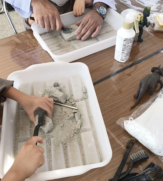 どんなアンモナイトが出てくるかな？じっくり掘り進める参加者。