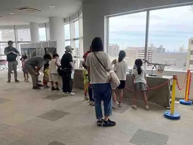 展示コーナーはパーテンションで仕切られ、触れないよう工夫されています。安全に楽しみながら、じっくりと恐竜の魅力を観賞できる空間が広がっています。