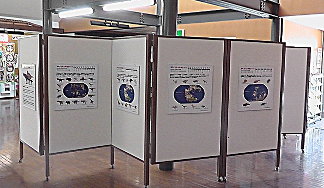 地球の歴史が学べる進化パネル展示で学習要素を取り入れて。