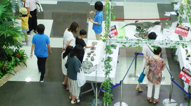 本物化石に触る様子