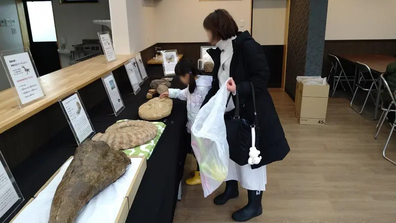 普段博物館でも触ることのできない化石に触れられるとあって、そわそわした様子でタッチ！