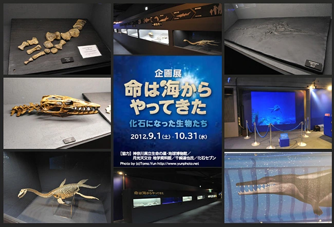 イベント風景