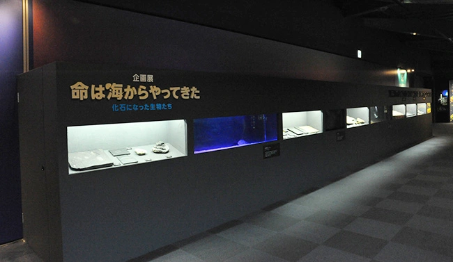 ※　開館前に撮影。