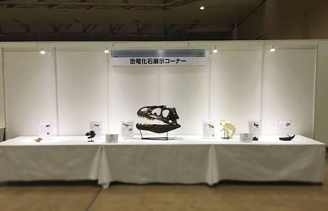 恐竜の化石やレプリカの展示コーナーも。