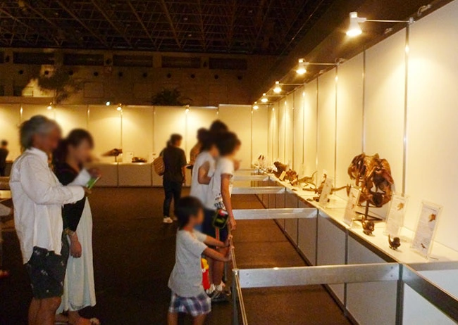 大興奮！恐竜頭骨標本に身を乗り出す子ども。