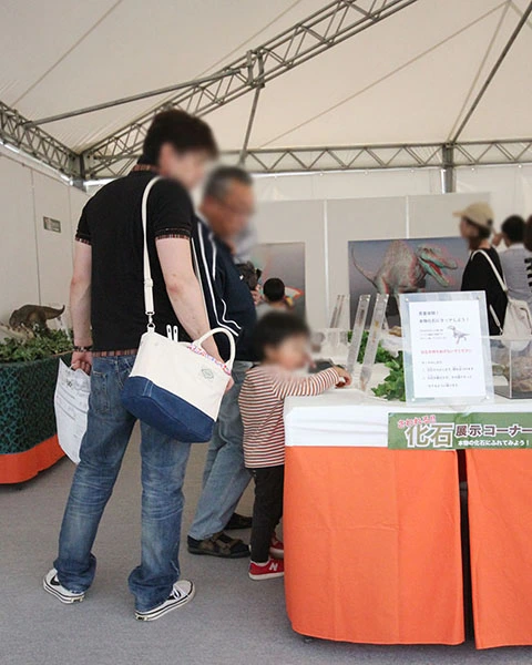 博物館でしか見ることができない希少な化石を間近で見る。