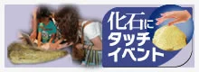本物の恐竜化石にタッチしよう