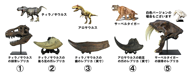 恐竜展で集客例火の国熊本から