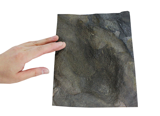 化石レンタルに本物の恐竜足跡（あしあと）タッチ化石が追加！