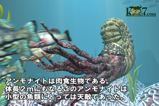 アンモナイト捕食シーン