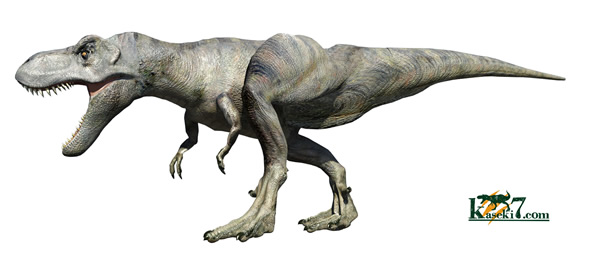 ティラノサウルス